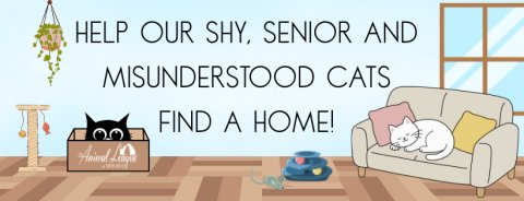 Couch, People, Living Room. Text: HELP OUR SHY, SENIOR AND MISUNDERSTOOD CATS FIND A HOME!