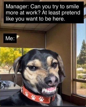 Dog, Hound, Door. Text: Manager: Can you try to smile more at work? At least pretend like you want to be here. Me: