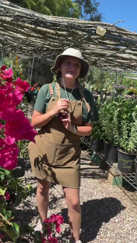 Garden, Nature, Outdoors. Text: Sage