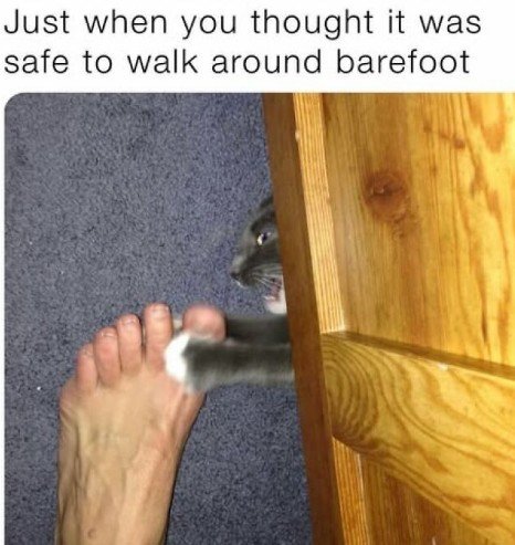 Wood, Interior Design, Barefoot. Text: Just when you thought it was safe to walk around barefoot