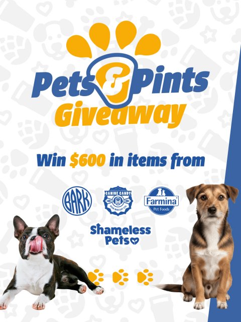 Advertisement, Poster, Dog. Text: Giveaway Win $600 in items from CANINE CANDY Farmina Pet Foods Shameless