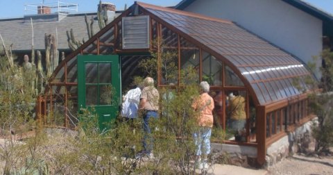 Garden, Gardening, Nature.