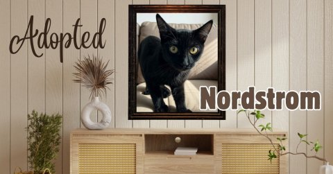 Interior Design, Painting, Cat. Text: Adopted Nordstrom