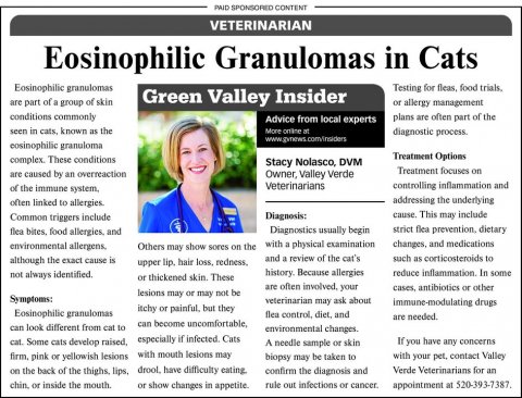 Newspaper, Person, Woman. Text: PAID SPONSORED CONTENT VETERINARIAN Eosinophilic Granulomas in Cats Eosinophilic granulomas Testing for fleas, food trials, are part of a group of skin Green Valley Insider or allergy management conditions commonly plans are often part of the Advice from local experts seen in cats, known as the diagnostic process. cosinophilic granuloma Treatment Options Treatment focuses on are caused by an overreaction Owner, Valley Verde Veterinarians controlling inflammation and of the immune system, addressing the underlying often linked to allergies. Diagnosis: cause. This may include Common triggers include Diagnostics usually begin strict