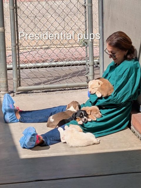 Adult, Person, Woman. Text: Presidential pups