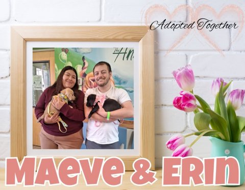 Adult, Person, Woman. Text: Adopted Together MAeve &amp; ERIN