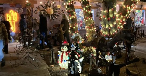 Adult, Person, Woman.