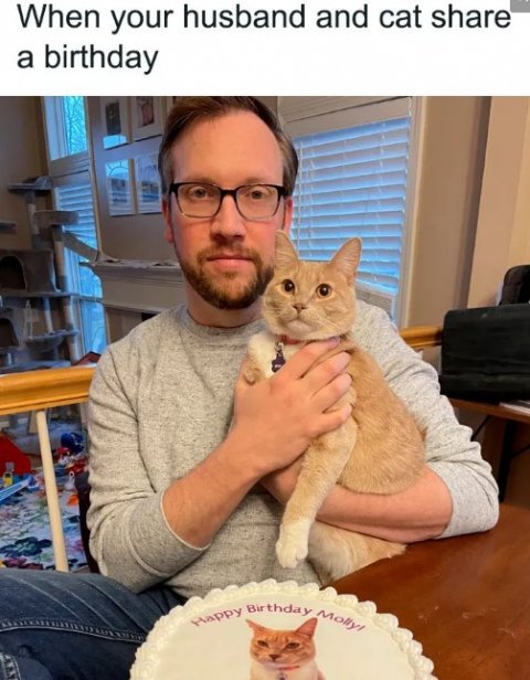 Glasses, Photography, Portrait. Text: When your husband and cat share a birthday Happy Birthday Molly!