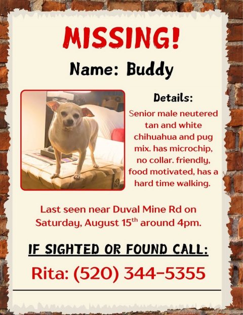 Advertisement, Poster, Dog. Text: MISSING! Name: Buddy Details: Senior male neutered tan and white chihuahua and pug mix. has microchip, no collar. friendly, food motivated, has a hard time walking. Last seen near Duval Mine Rd on Saturday, August 15th around 4pm. IF SIGHTED OR FOUND CALL: Rita: (520) 344-5355