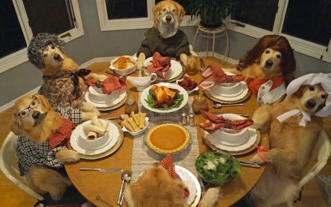 Dining Table, Meal, Lunch.