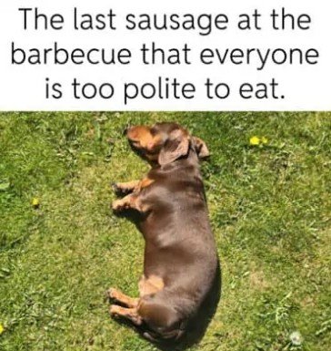 Grass, Snout, Dog. Text: The last sausage at the barbecue that everyone is too polite to eat.