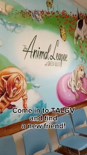 People, Advertisement, Book. Text: Come in to TALGV and find a new friend!