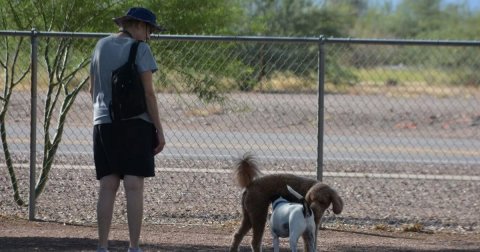 Shorts, Person, Walking.