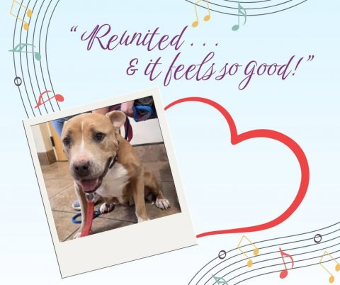 Greeting Card, Mail, Dog. Text: E it feels. so good!"