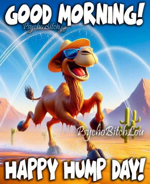 Hat, Glasses, Poster. Text: GOOD MORNING! HAPPY HUMP DAY!