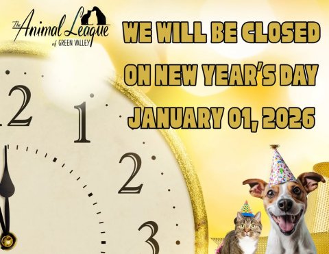 Hat, Dog, Cat. Text: Animal of GREEN League VALLEY WE WILL BE CLOSED ON NEW YEAR'S DAY 2 1 JANUARY 01, 2026 2