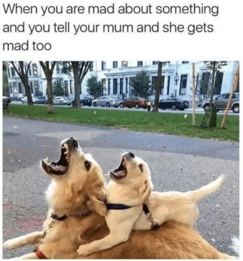 City, Neighborhood, Street. Text: When you are mad about something and you tell your mum and she gets mad too