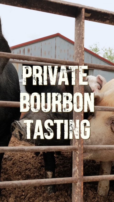 Pig, Cow, Hog. Text: PRIVATE BOURBON TASTING