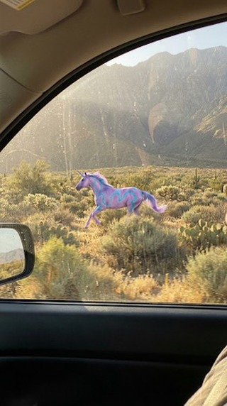 Horse, Vehicle, Car.