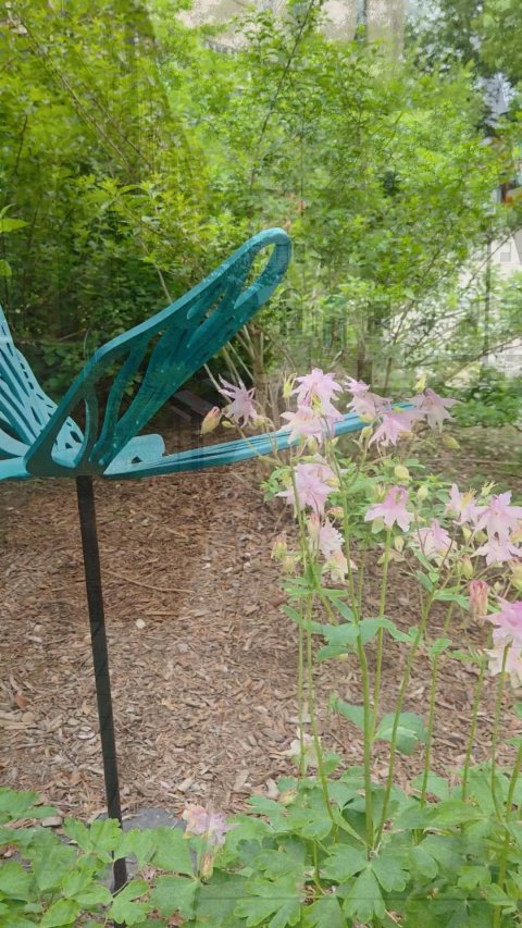 Attached photo.