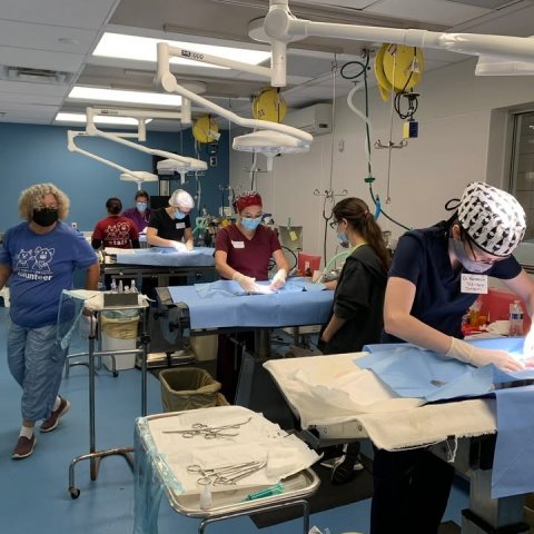 Hospital, Clinic, Person.