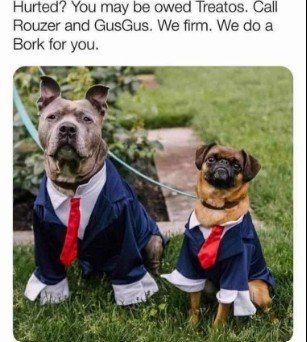 Tie, Canine, Dog. Text: Hurted? You may be owed Treatos. Call Rouzer and GusGus. We firm. We do a Bork for you.