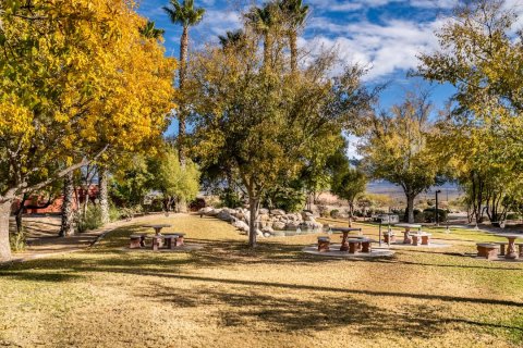 Grass, Park, Scenery.