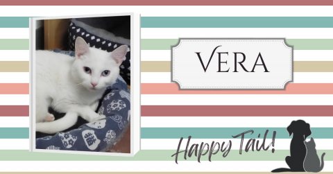 Cat, Mammal, Pet. Text: VERA Happy Tail!