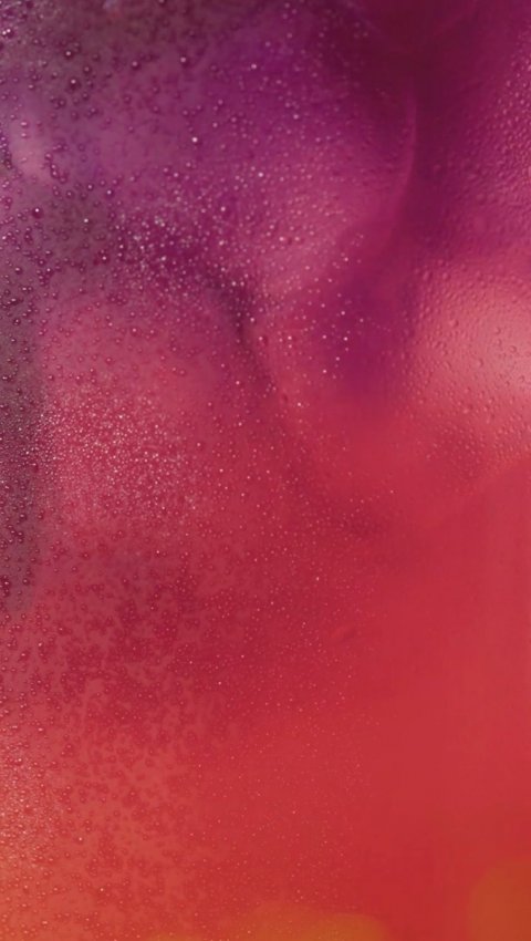 Purple, Petal, Person.