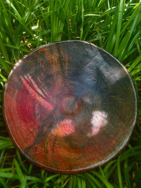 Tree, Bowl, Cricket Ball.