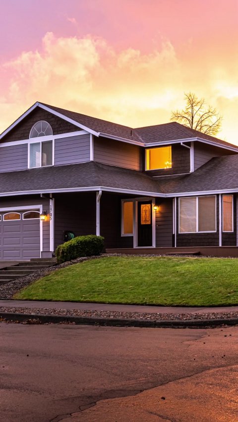 Grass, Suburb, Lawn.