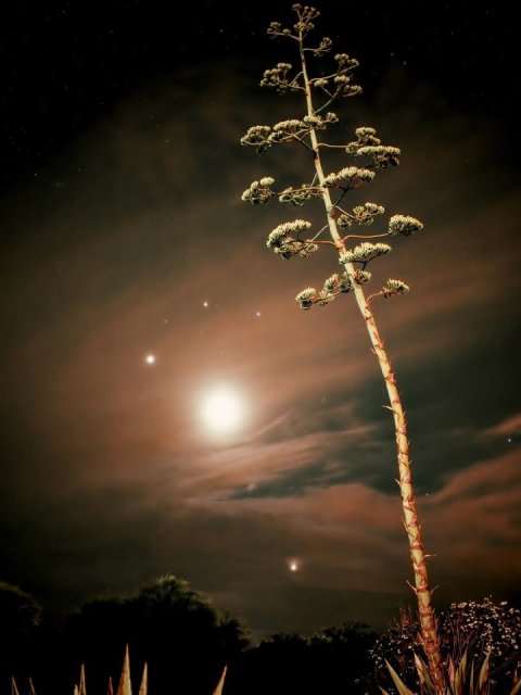 Night, Lighting, Moon.