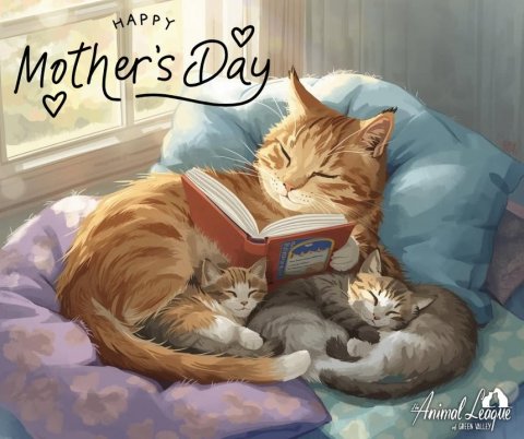 Book, Publication, Kitten. Text: HAPPY Mother's Day