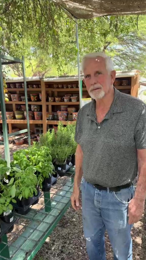 Garden, Potted Plant, Planter.