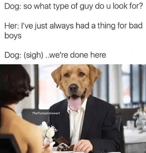 Adult, Person, Woman. Text: Dog: so what type of guy do u look for? Her: I've just always had a thing for bad boys Dog: (sigh) ..we're done here