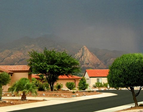 Villa, Neighborhood, Potted Plant.