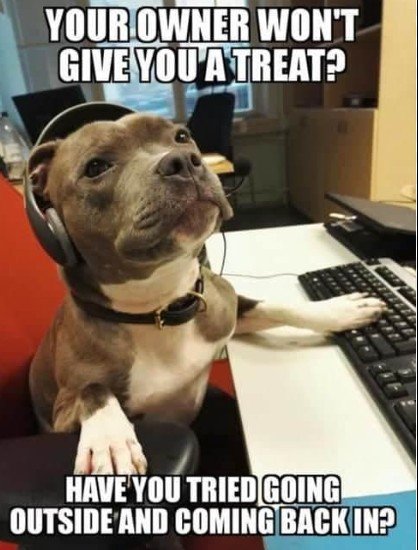 Computer Keyboard, Dog, Snout. Text: YOUR OWNER WON'T GIVE YOU A TREAT? HAVE YOU TRIED GOING OUTSIDE AND COMING BACK IN?