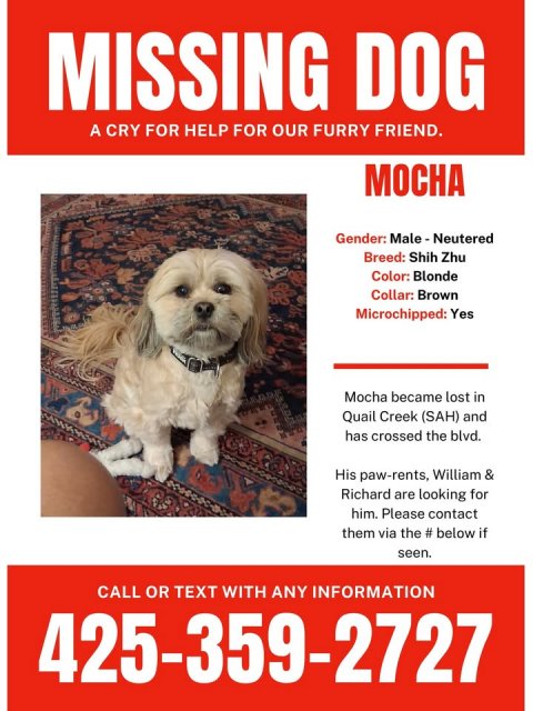 Advertisement, Poster, Dog. Text: MISSING DOG A CRY FOR HELP FOR OUR FURRY FRIEND. MOCHA Breed: Shih Zhu Color: Blonde Collar: Brown Microchipped: Yes Mocha became lost in Quail Creek (SAH) and has crossed the blvd. His paw-rents, William &amp; Richard are looking for him. Please contact them via the # below if seen. CALL OR TEXT WITH ANY INFORMATION 425-359-2727