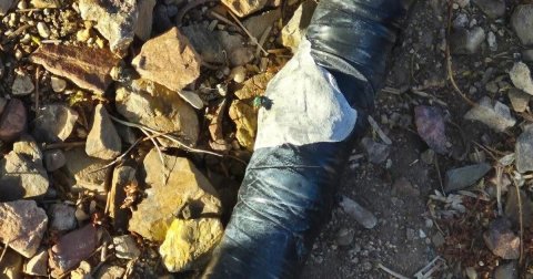 Soil, Bride, Person.