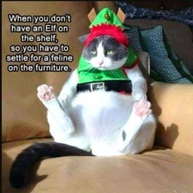 Hat, Couch, Cat. Text: When you don't have an Elf on the shelf, so you have to settle for a feline on the furniture.