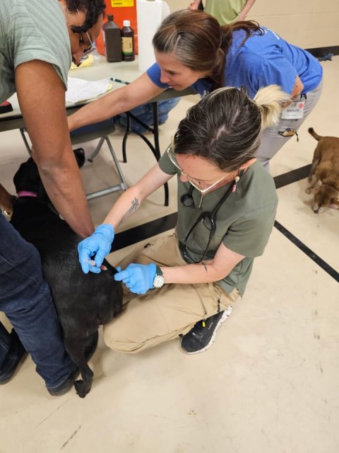 Glove, Doctor, Person.