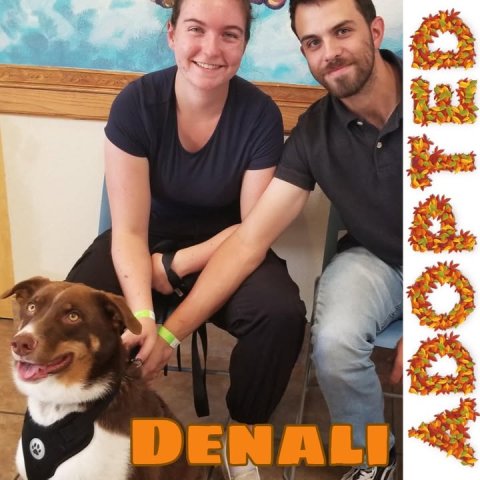 T-Shirt, Photography, Portrait. Text: DENALI ADOPTED