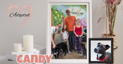 People, Person, Greeting Card. Text: Adopted CANDY