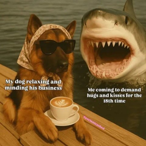 Coffee Cup, Animal, Shark. Text: My dog relaxing and minding his business Me coming to demand hugs and kisses for the 18th time