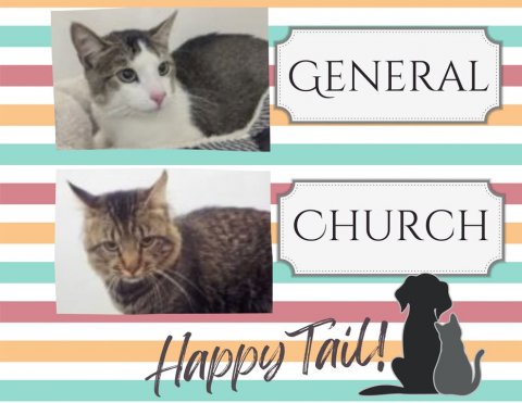 Cat, Pet, Dog. Text: GENERAL CHURCH Happy Tail!