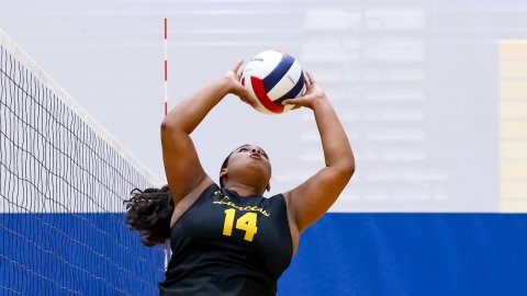 Playing Volleyball, Volleyball, Volleyball (Ball). Text: 14