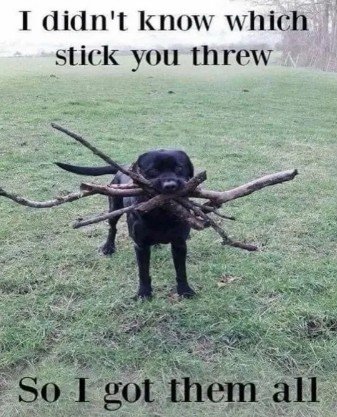 Canine, Dog, Labrador Retriever. Text: I didn't know which stick you threw So I got them all