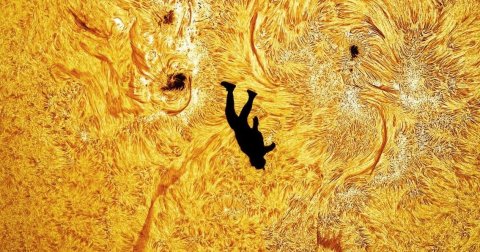 Outdoors, Nature, Kangaroo.