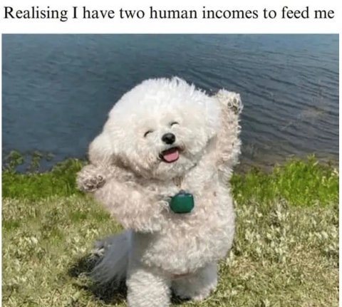 Canine, Dog, Puppy. Text: Realising I have two human incomes to feed me