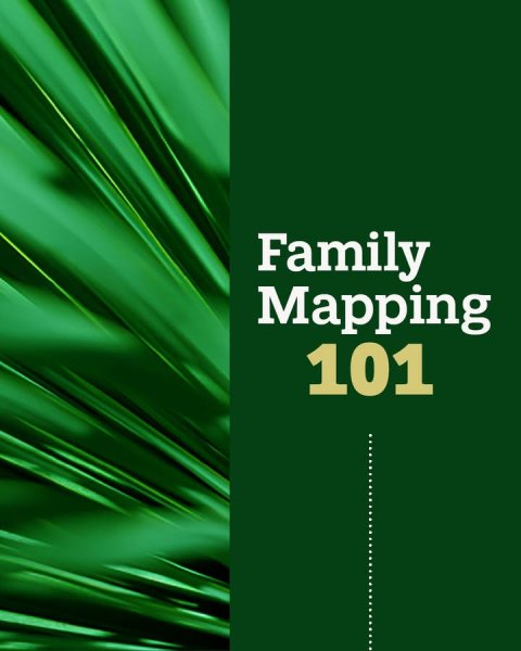 Green, Graphics, Night. Text: Family Mapping 101
